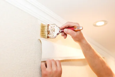 Pose de papier peint à Meyrié — revêtements muraux et toiles de verre